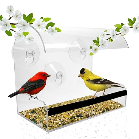 Window Bird Feeder Bird Feeders For Outside Acrylic Bird