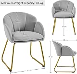 Yaheetech Velvet Tub Chair Modern Accent Armchair with Gold Leg Grey view 3
