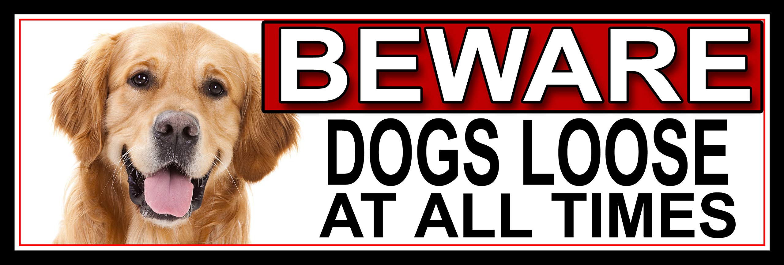 SHAWPRINT Golden Retriever BEWARE DOGS LOOSE AT ALL TIMES METAL GATE SIGN 266mm x 87mm. (393H2)