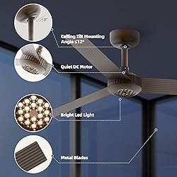 TALOYA 52 inch Modern Ceiling Fan with