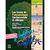 Les Bases De L Immunologie Fondamentale Et Clinique Campus 5e Ed Amazon Ca Abbas Abul K Books