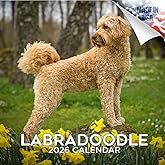 Labradoodle Calendar 2026 by MegaCalendars – Monthly Dog Breed Wall Calendar, Made in USA