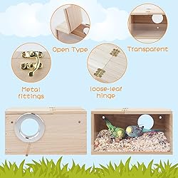 Rypet Parakeet Nesting Box Transparent