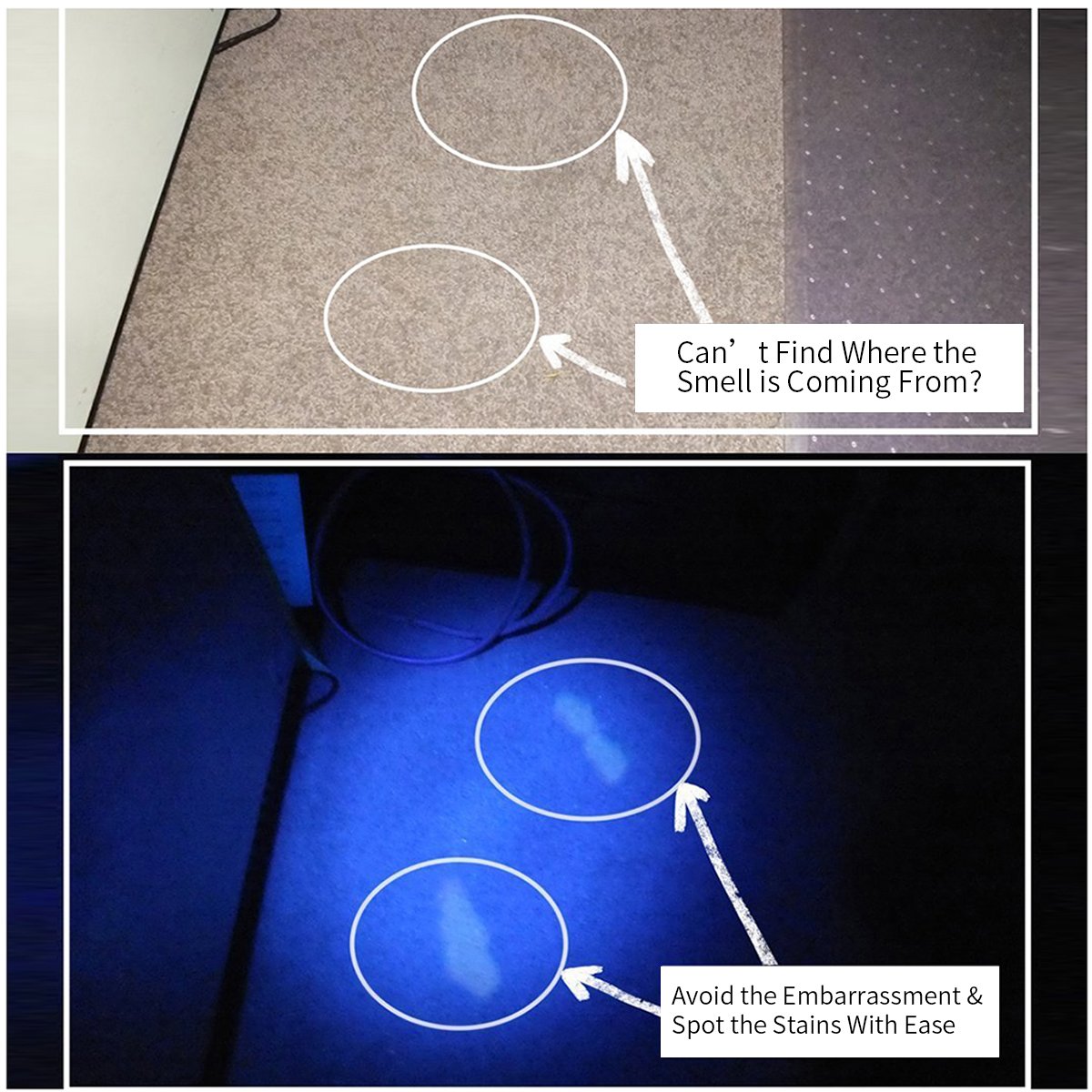 2 Pack 12 LED UV Flashlight Urine Detector - Morpilot Upgrade Ultraviolet Light Blacklight with 2 Pack Mini Keychain Flashlight for Detect Bed Carpet Bug Dog Urine Stain Scorpion