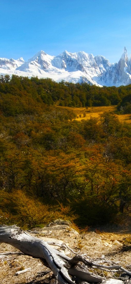 PeelitStickit, Beautiful Nature Wall Murals, ID-1131, vinyl