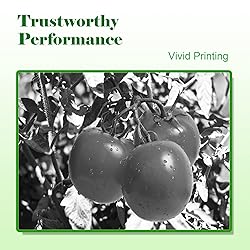 045 045H High-Yield Black Toner Cartridge
