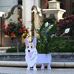 Gochoi Corgi Gifts for Corgi Lovers, Corgi Dog