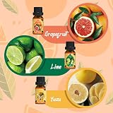 SALKING Citrus Burst Essential Oils Set 6 Aromatic Oils Sweet Orange Bergamot view 4