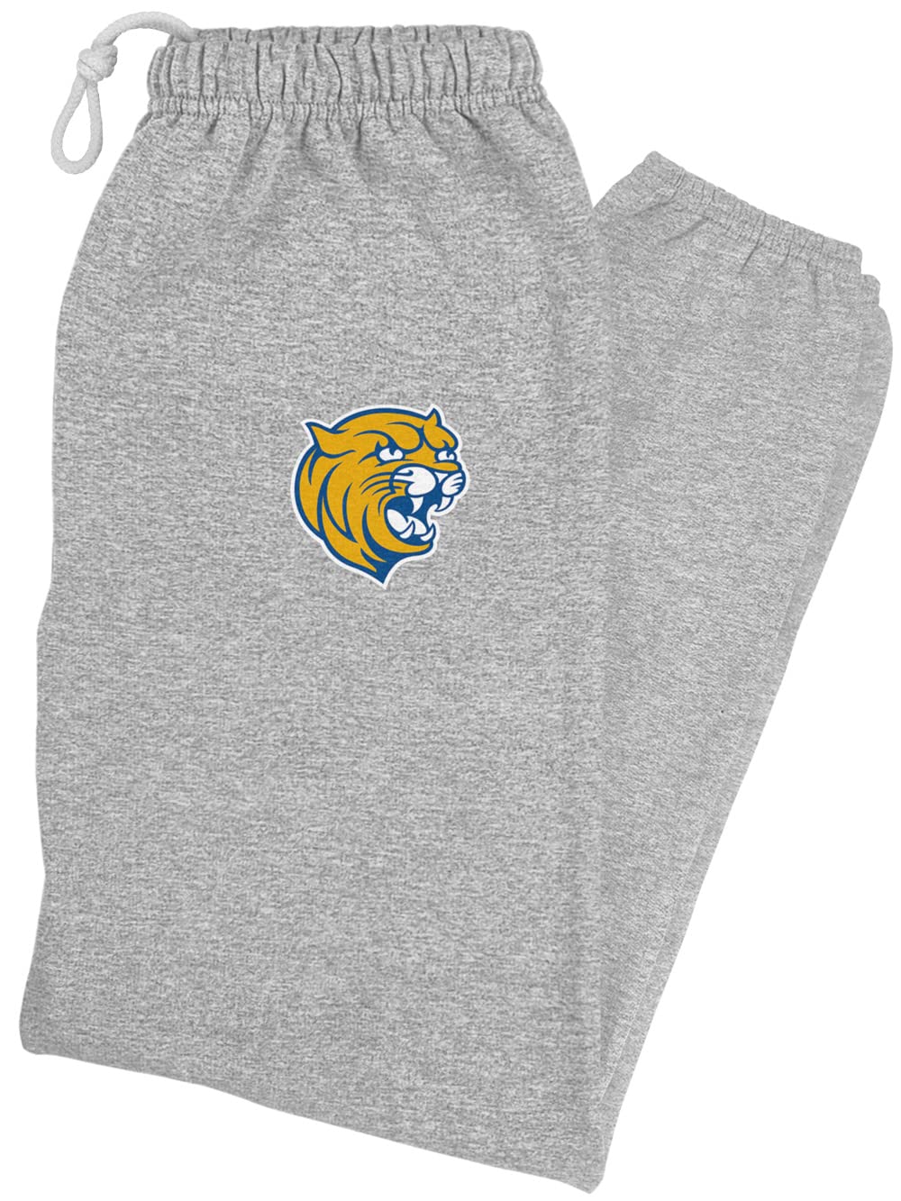 LOGOVISION Johnson & Wales University Primary Logo