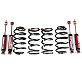 RTZ - Compatible with Dodge Ram 1500 Pickup Truck 09-17 Lowering Kit 2" Front Coil Springs + 4" Rear Lowering Springs + Set of Doestch Tech Premium Primo Nitrogen Gas Charged Shocks V8 Motor 2WD