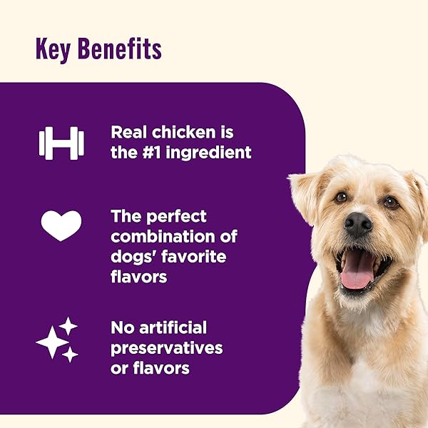 NUTRISH TRIPLE DELIGHTS PREMIUM DOG TREATS FOR DOGS WITH REAL CHICKEN, BACON, AND PEANUT BUTTER, 28 OZ. POUCH