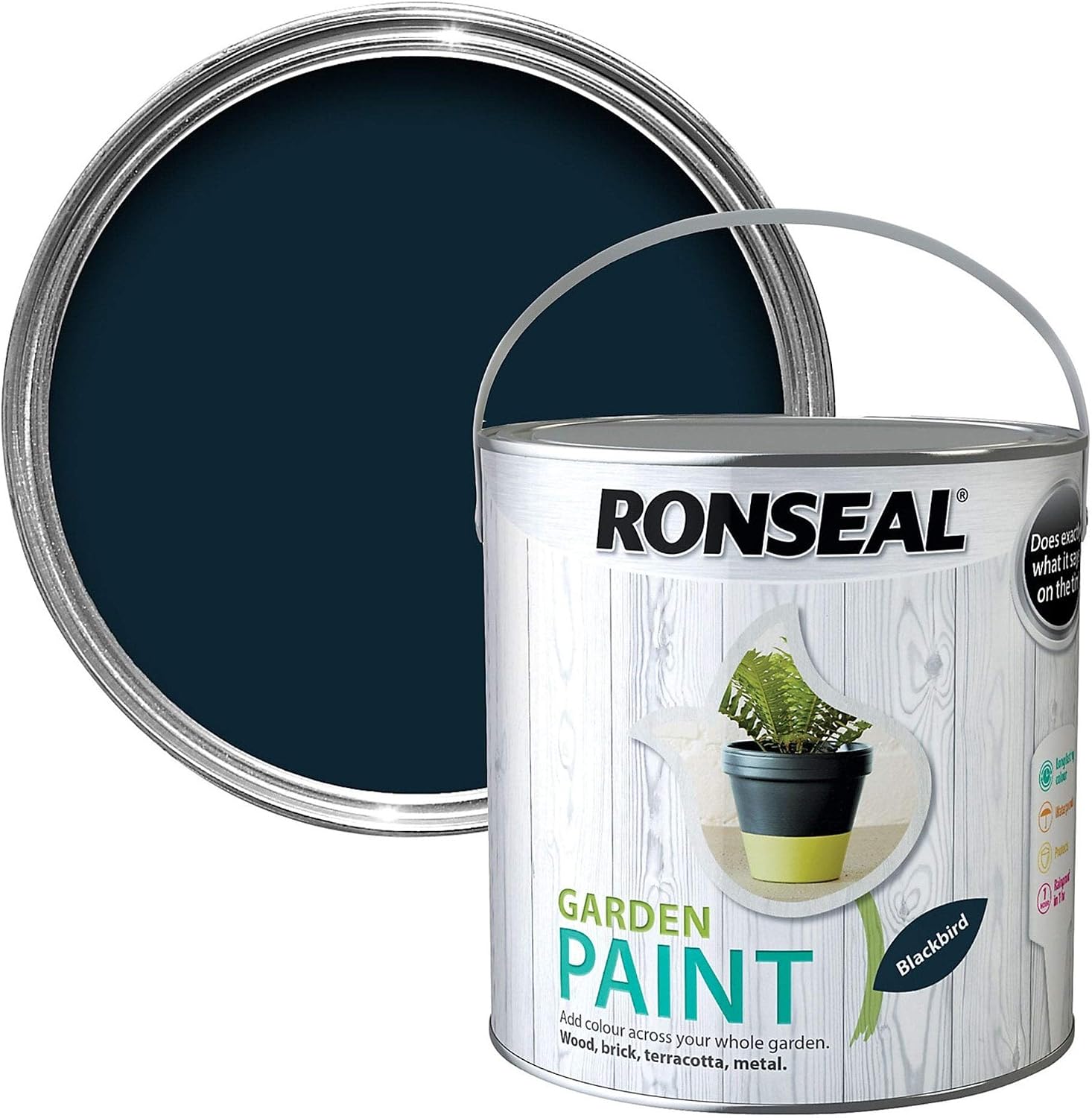 Ronseal RSLGPBLKB250 GPBLKB250 Garden Paint Black Bird 250ml, 250 ml, 250 ml (Pack of 1)