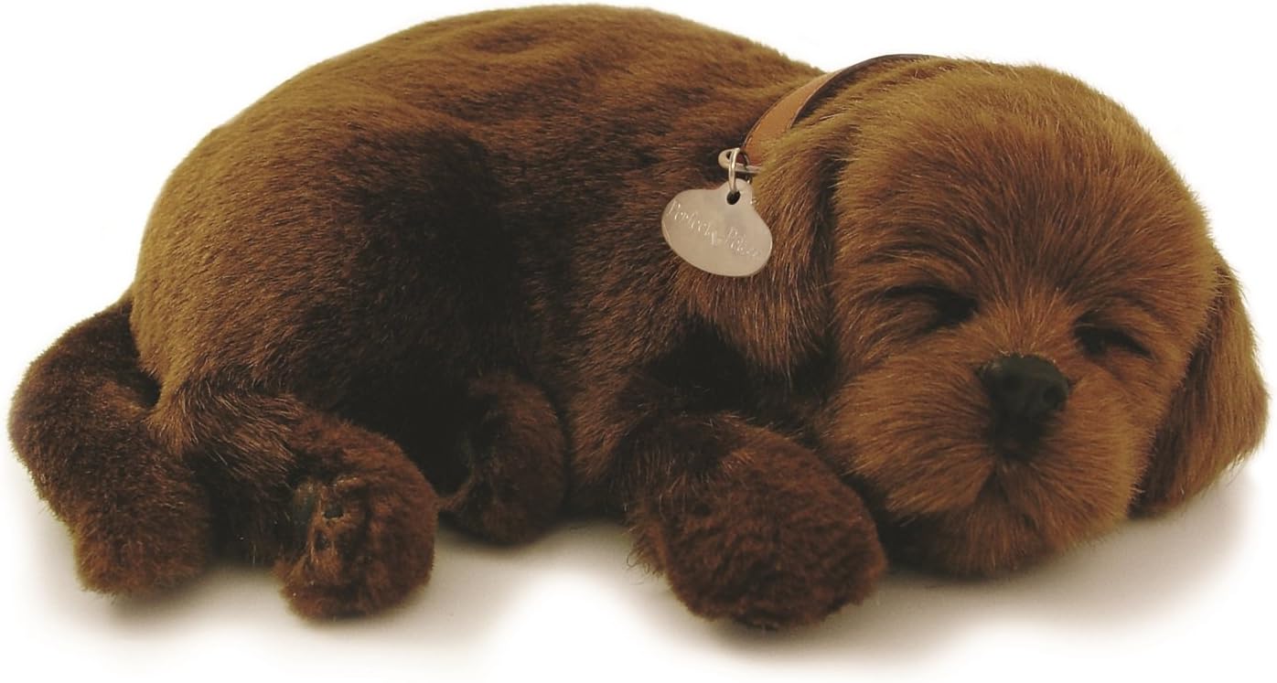 peluche interactive chat