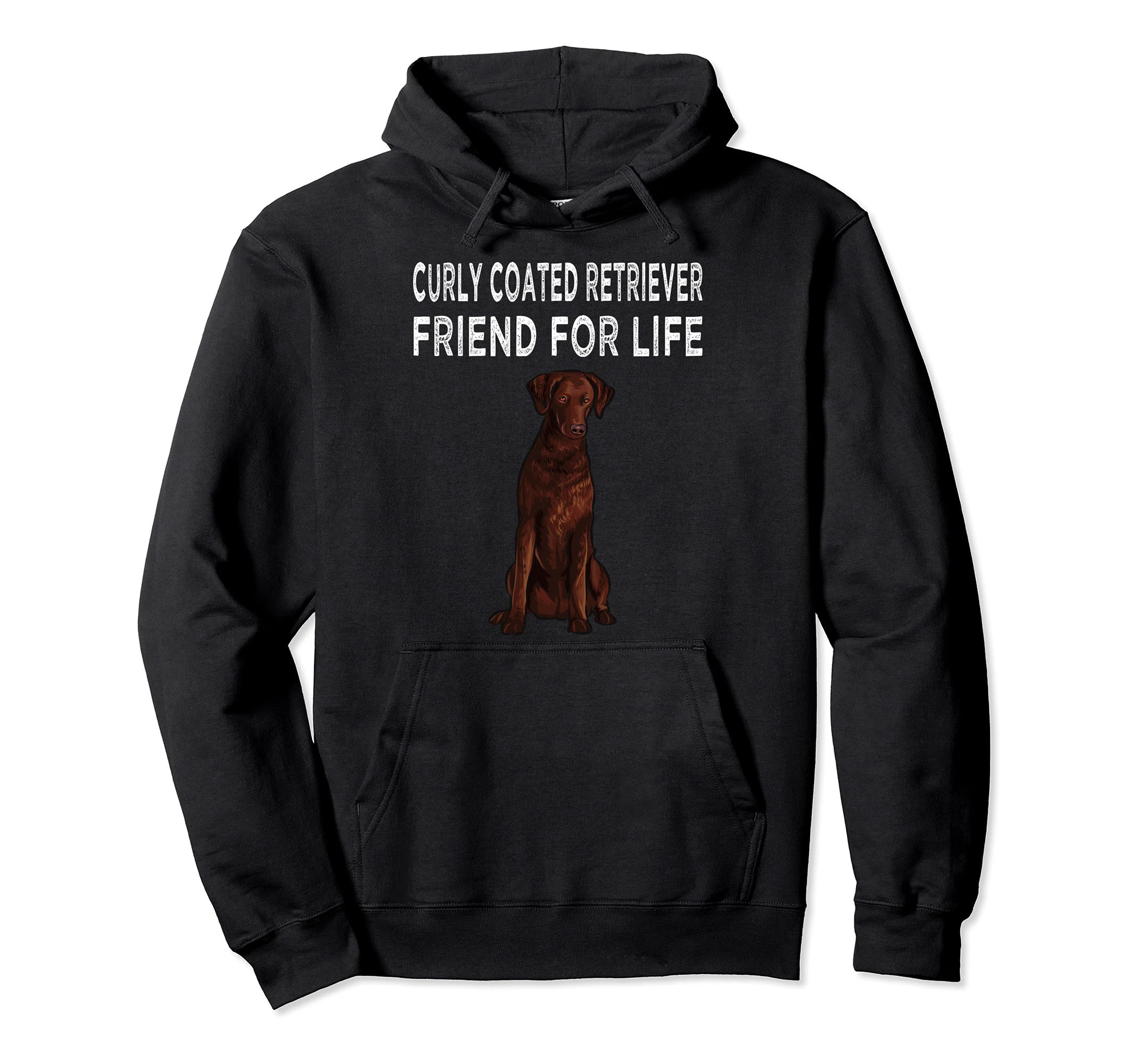 Curly-Coated Retriever Friend For Life Dog Friendship Pullover Hoodie
