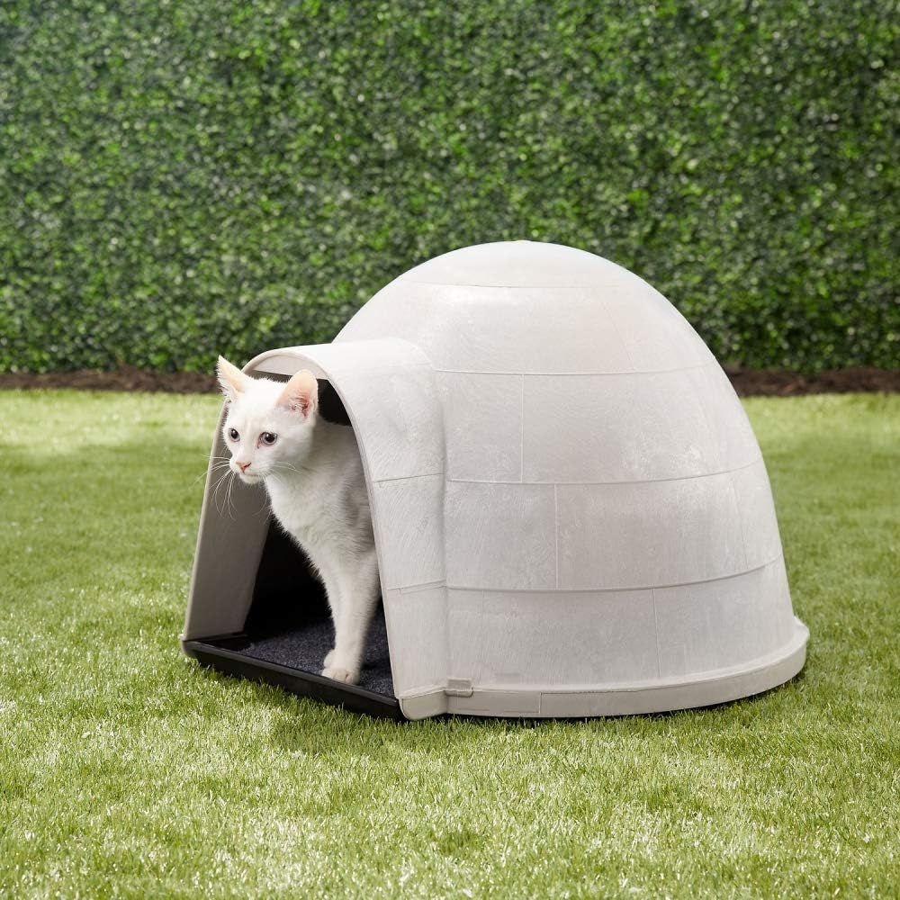 Petmate Kitty Kat Condo Outdoor Cat House Rain and Snow Diverting Hood Carpeted Floor One Size : Cat Houses And Condos : Pet Supplies