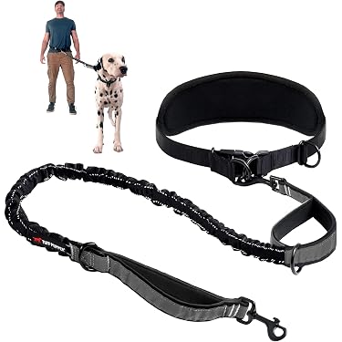 3 collar dog leash 3 Dog collar: Shock collar for 3 dogs & 3 Dog training collars – Xpro 3 –  Aerosmith LLC main image 0