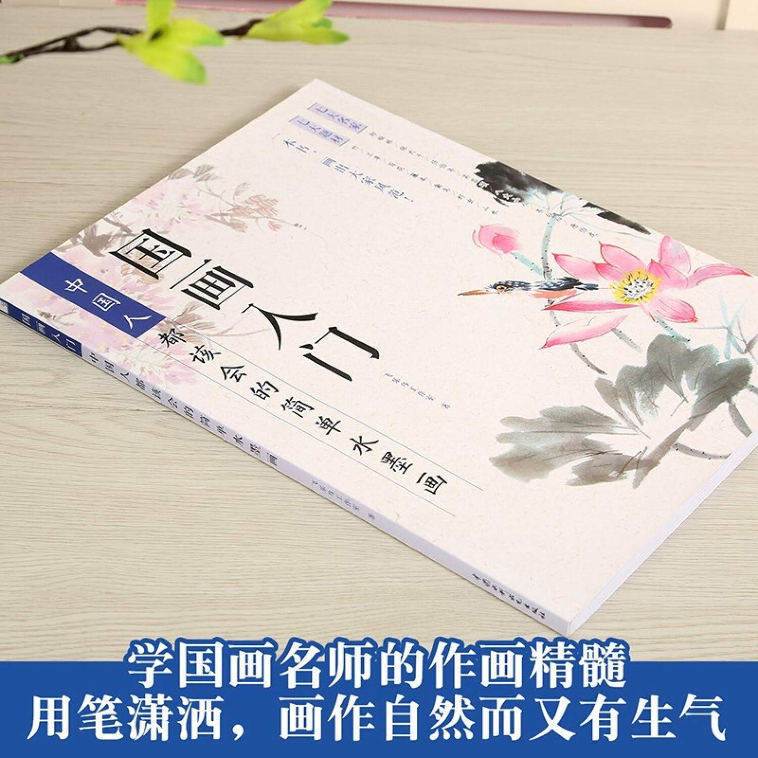 国画入门 中国人都该会的简单水墨画 飞乐鸟工作室 Amazon Com Books