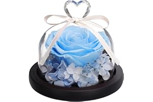ANLUNOB Forever Real Roses in Glass Dome Flower Gift Blue Rose Decor for Mother's Day Valentine's Day Wedding Party Birthday Anniversary Preserved Flowers Romantic Gifts for Christmas