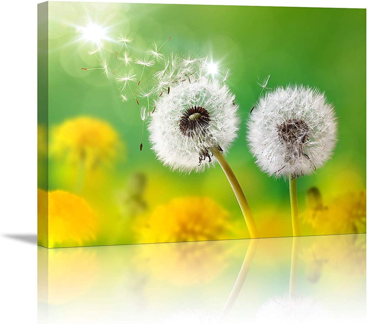 Wall Art For Living Room Canvas Prints Artwork Bathroom Wall Decor Light From Sun Simple Life Green Dandelion Picture Watercolor Painting Framed Bedroom Wall Decorations Office Works Home Decoration Amazon Ca Home