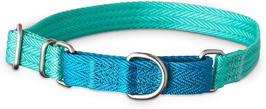 teal martingale dog collar