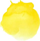 Liquitex Professional Ink 30 ml Cadmium Yellow Light Airbrush Paint view 2