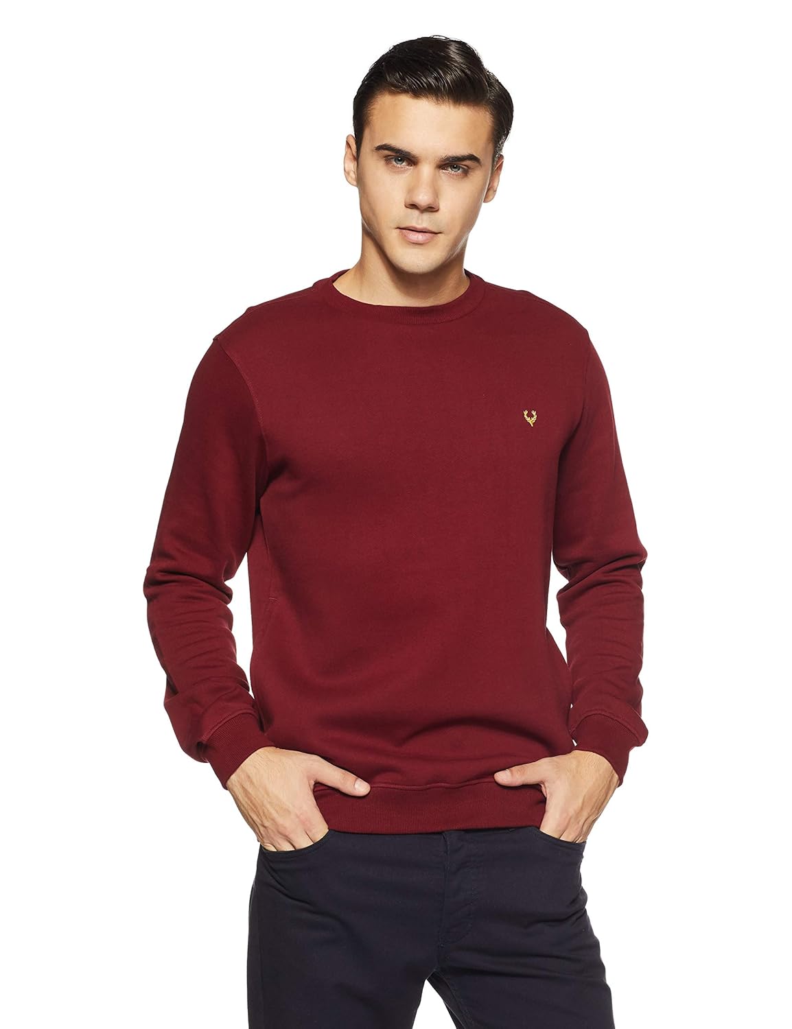 allen solly sweatshirt