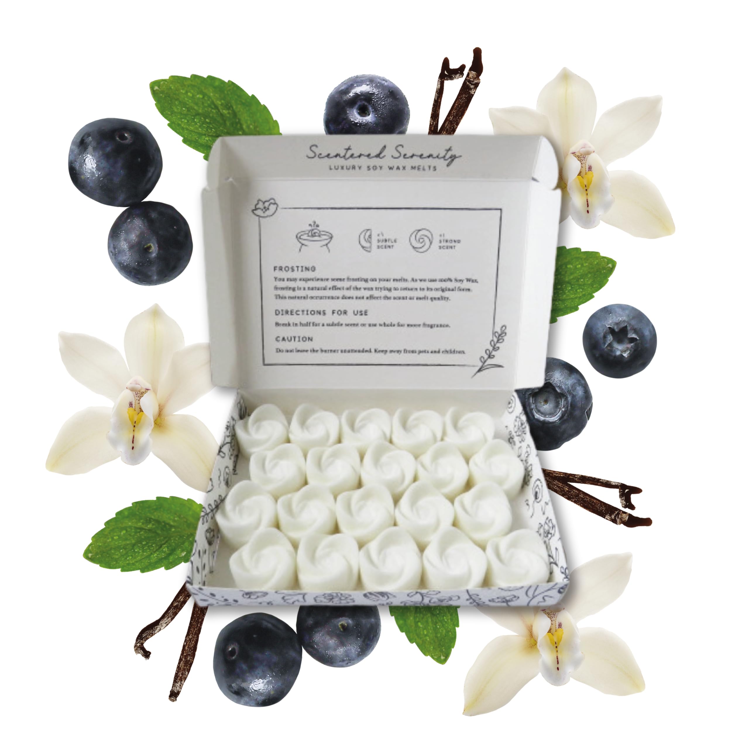 Blueberry and Vanilla Wax Melts| Strong Scented| 20 Pack| Luxury Gift Set Wax Melts| Over 96 Hrs Burn Time Per Box| Pet Friendly| Eco Friendly| Hand Poured in Staffordshire, UK (Blueberry + Vanilla)