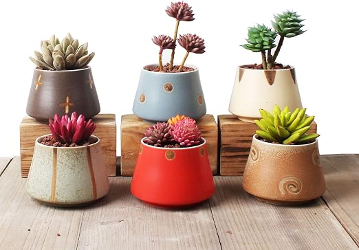 Ordso - Macetas pequeñas de cerámica para Plantas suculentas ...