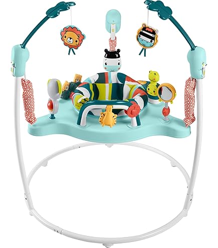 Amazon.com: Fisher-Price Baby Bouncer Jumperoo Activity Center Amazon.com: Fisher-Price Baby Bouncer Jumperoo Activity Center