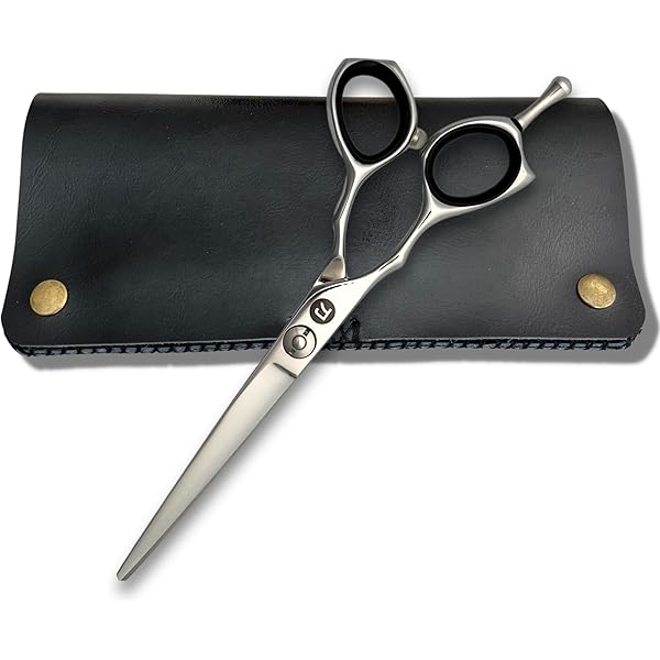 Amazon.com : Saki Shears Precision Hair Cutting Shears