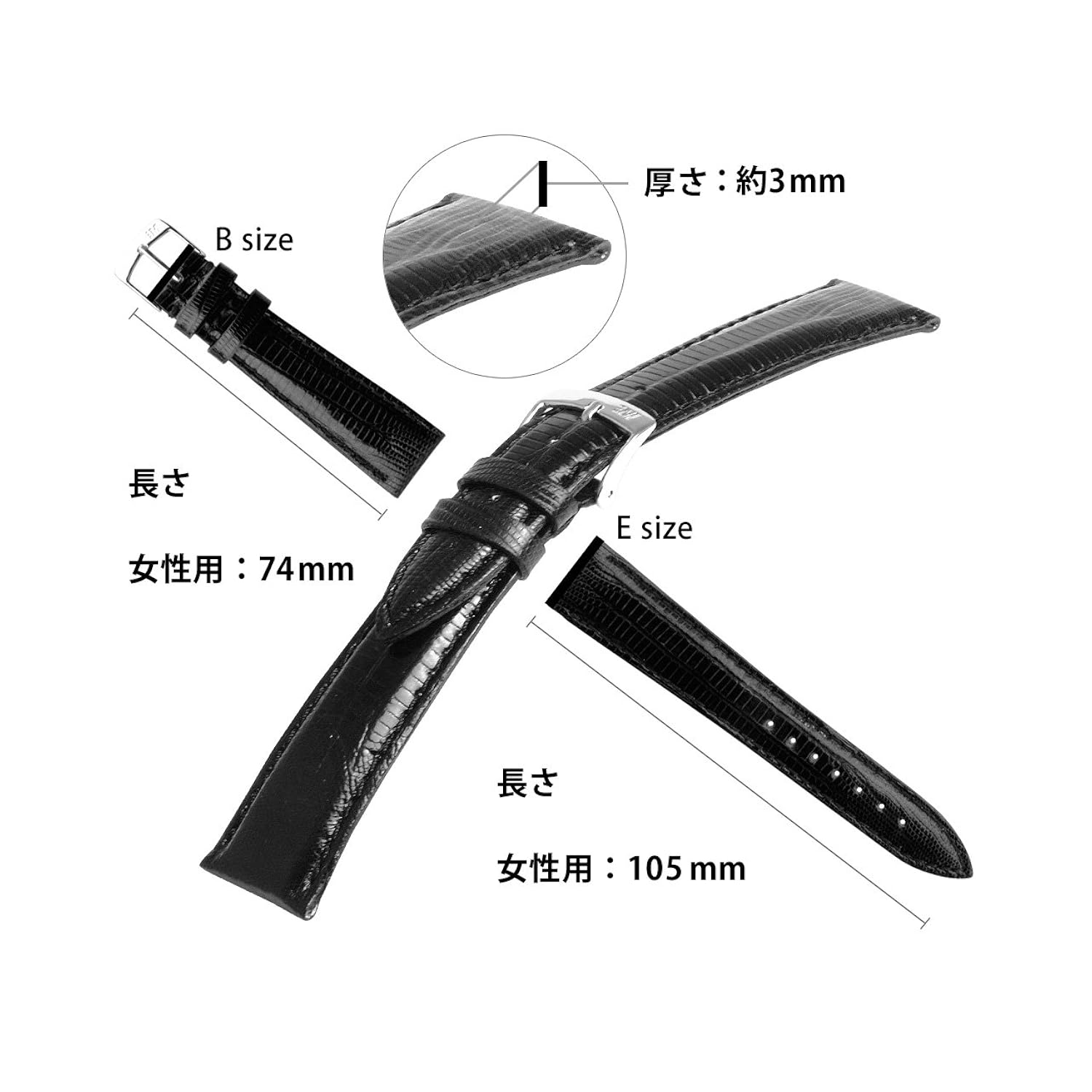 最適な価格 Morellato モレラート テジュリザード時計バンド Volterra ボルテラ 14mm ホワイト 交換用工具付き 正規輸入品 Dm B06zzsg1dw Hermescolleges Ca