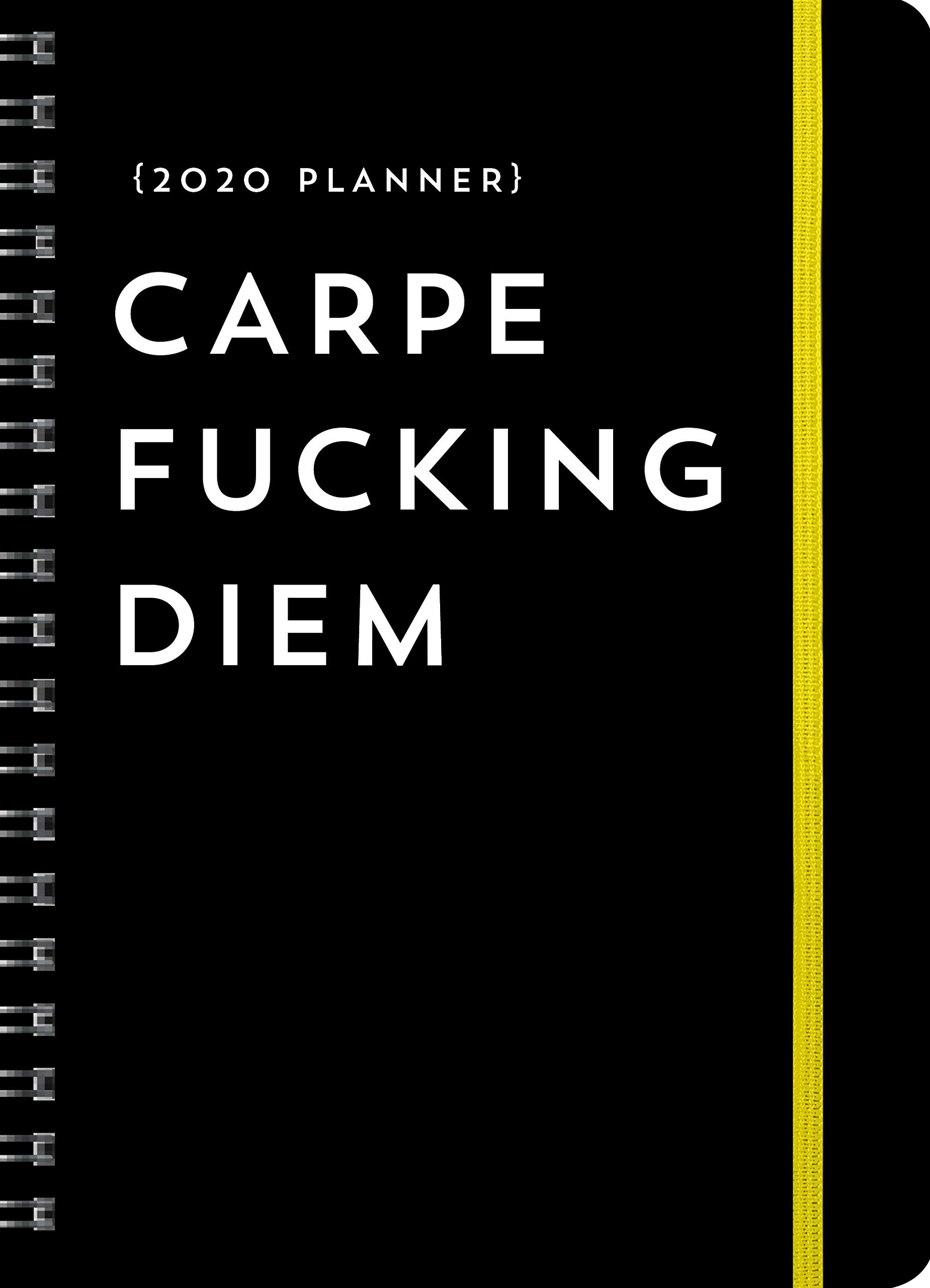 2020 Carpe F Cking Diem Planner Sourcebooks 0760789280320