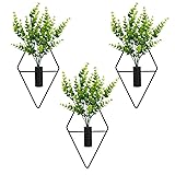 Neiteli 3 Pcs Wall Plants Artificial Decor,Boho