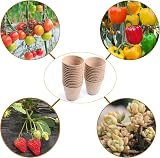 Cymax 50x 8cm Round Fibre Seedling Pots with 50 Plant Labels Biodegradable view 5