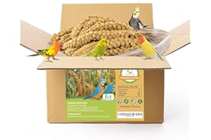 MEILLEURE 2LB Spray Millet Bird Treat for Parakeets, Natural Sun-Dried Birds Millet Spray for Parrots, Finches, Cockatiel, Budgie & Hamster, Bird Food Bulk