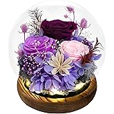FIACO Gifts for Mom Flowers for Delivery Birthday Gifts for Women Grandma Forever Preserved Eternal Rose in Glass Dome Mother Days Valentines Anniversary for Girlfriend Wife Her, Purple