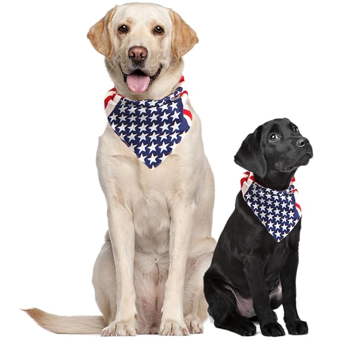 4th of July Dog Costumes TOP 10 Halloween Costumes Stores