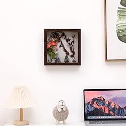 DEMAIKE 10x10 Shadow Box Frame with Linen