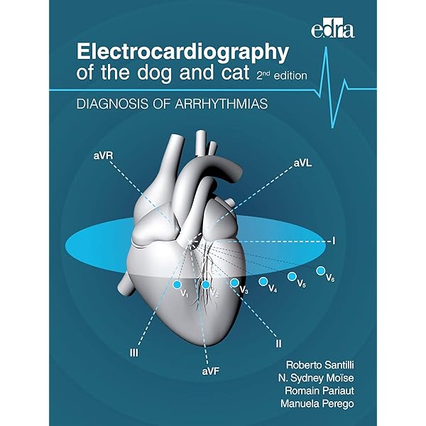 洋書 CARDIAC ARRHYTHMIAS in Dogs and Cats Cardiac Arrhythmias in Cats and Dogs: 250 Commented Clinical