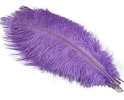 Lampu 10pcs Ostrich Feathers 12-14