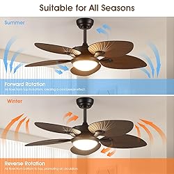 Wiviniya Tropical Ceiling Fans with Lights and