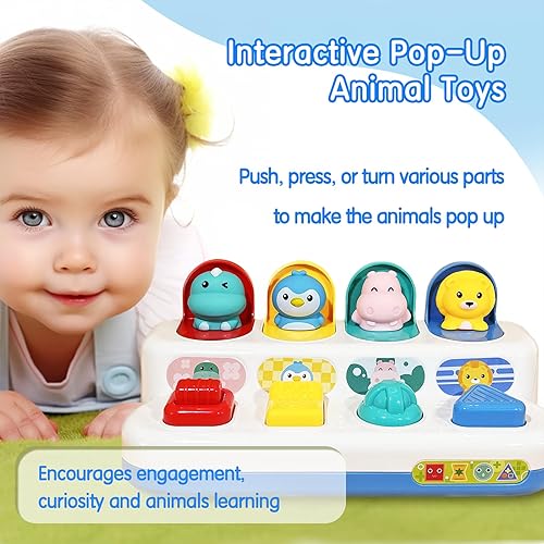 Hibility Pop Up Toy for Toddlers 1-3, Early Developmental Cause