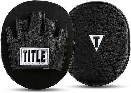title boxing mitts