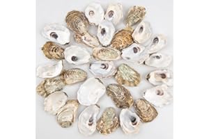 QEQEKAKA 30PCS Oyster Shells 2"-2.5" Small Oyster Shells for Crafts Natural Oyster Shells Bulk, for Home Vase Filler, Xmas Ornaments, DIY Arts and Crafts Sea Shells