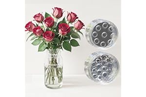 OYB Spiral Ikebana Stem Holder, Spiral Stem Holder for Vases，DIY Flower Bouquet Flower Arrangement Accessories，Suitable for Flower Decoration(Transparent S+L)