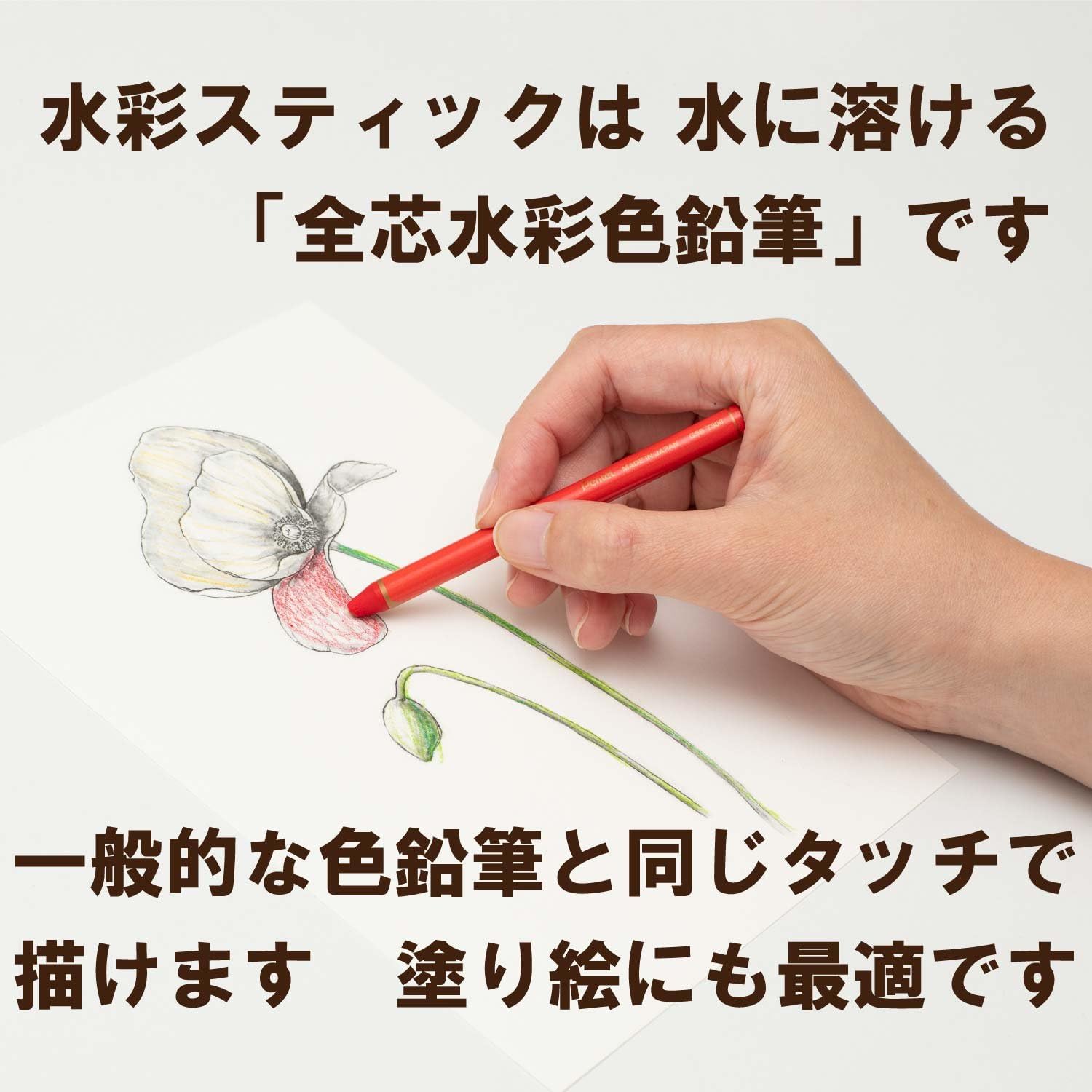 Download Limited Set Assorted Pentel Vistage Gss1 12sw Watercolor Stick 12 Color Sweet Mix Set Art Collectibles Watercolor Kromasol Com