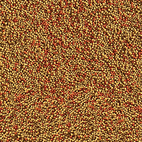 Tetra TetraFin Bite Sized Floating Variety Pellets, 1.87-Ounce