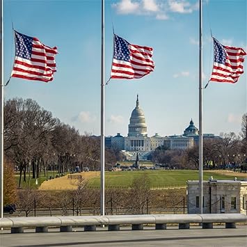 Amazon Com Ofila American Flags With Us Capitol Background 6x6ft