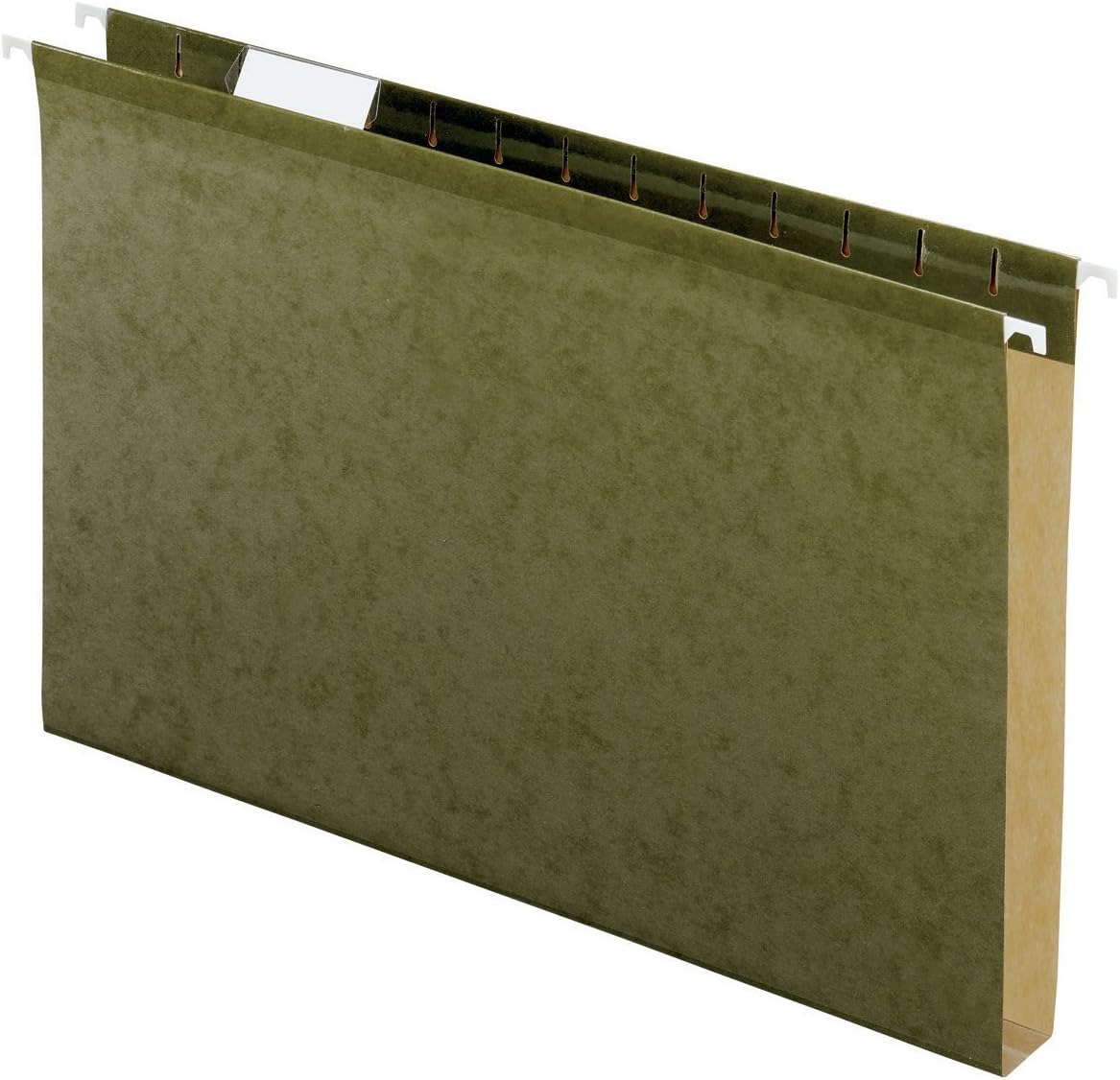 Pendaflex 04153X1 Reinforced 1" Extra Capacity Hanging Folders, Legal, Standard Green, Box of 25 (4153X1) : Hanging File Folders : Office Products