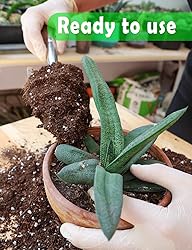 TOYPOPOR Potting Soil for All Indoor
